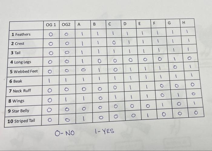 1 Review The Ten Taxa And Ten Characters Provided 2 Fillout Character Matrix 3 Draw The Most Parasimonious Cladogram 2