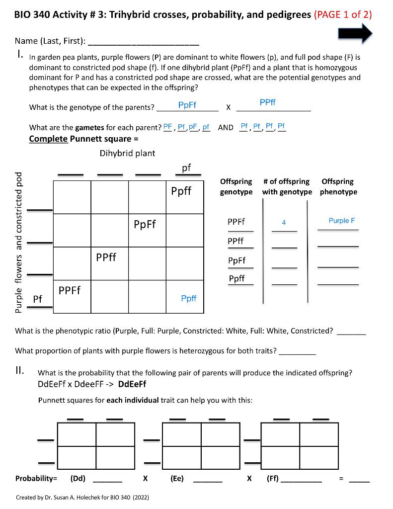 Bio 340 Activity 3 Trihybrid Crosses Probability And Pedigrees 1