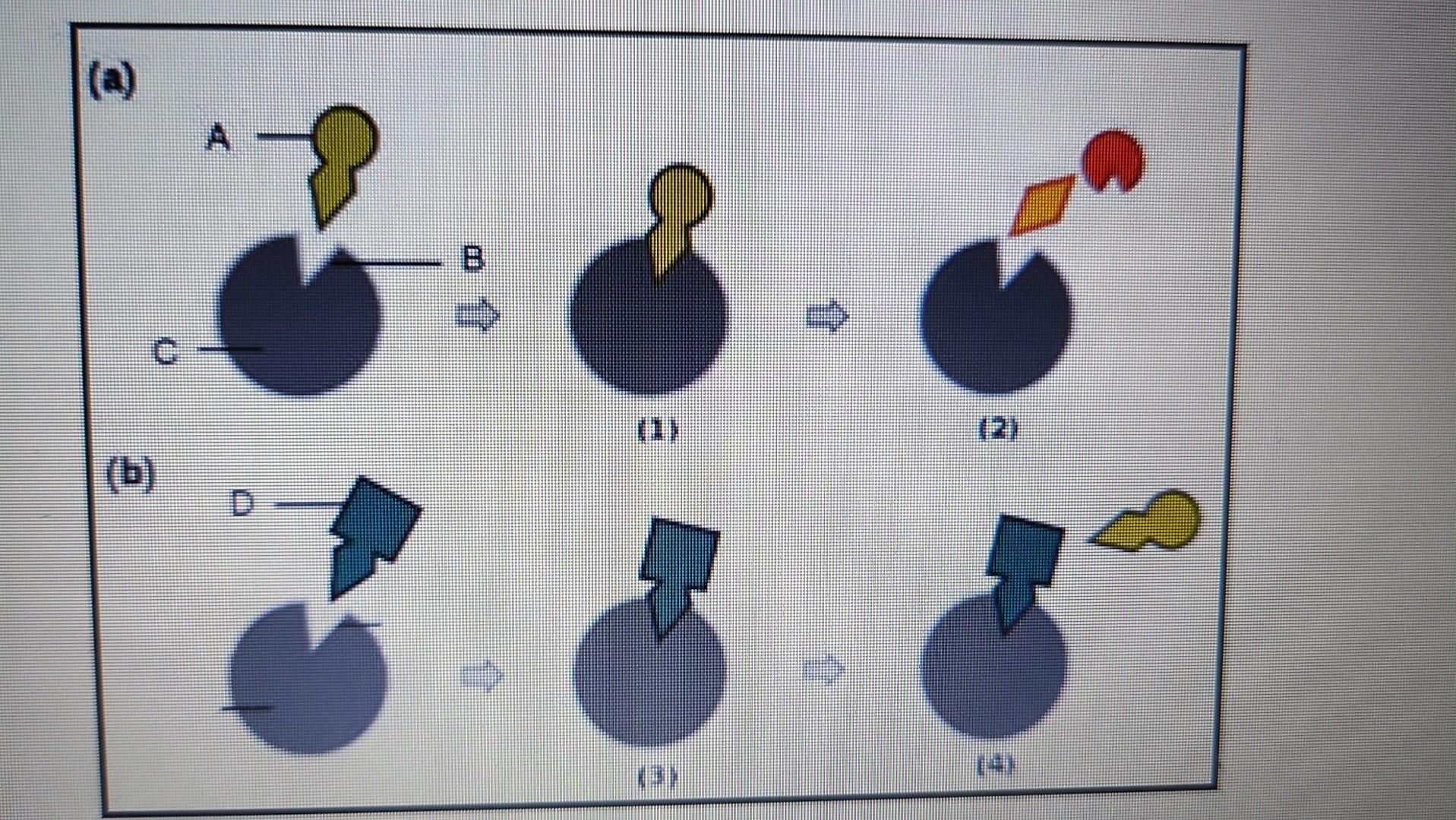 2 I 8 0 9 2 1