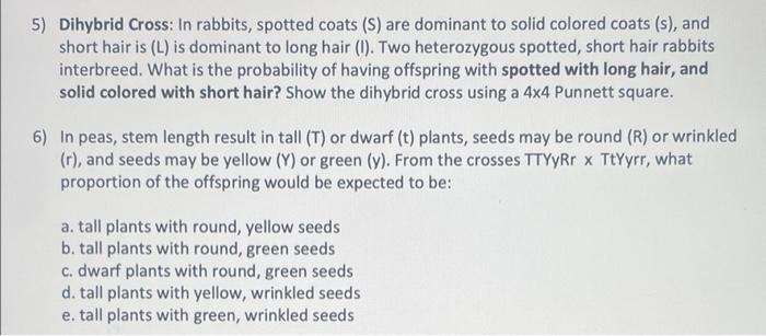 5 Dihybrid Cross In Rabbits Spotted Coats S Are Dominant To Solid Colored Coats S And Short Hair Is L Is Domin 1