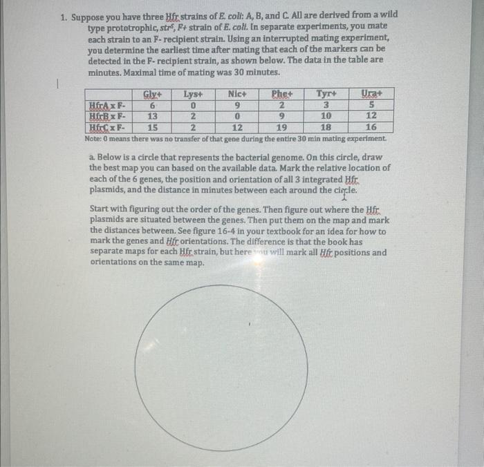 1 Suppose You Have Three Hfr Strains Of E Coli A B And C All Are Derived From A Wild Type Prototrophic Strs F S 1