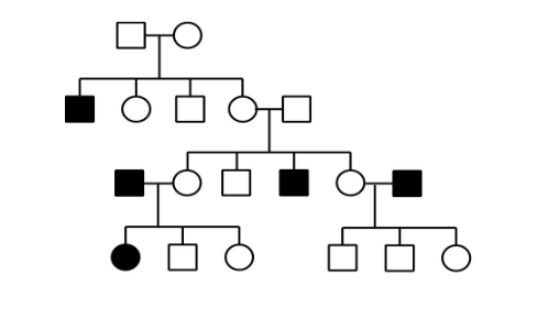 A Interpret The Following Pedigree With Regards To The Trait S Pattern Of Inheritance Assume That Mates Do Not Carry 1