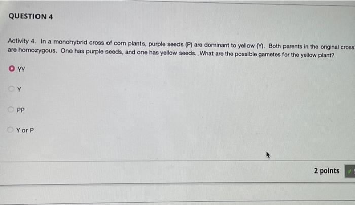 Question 4 Activity 4 In A Monohybrid Cross Of Corn Plants Purple Seeds P Are Dominant To Yellow M Both Parents I 1
