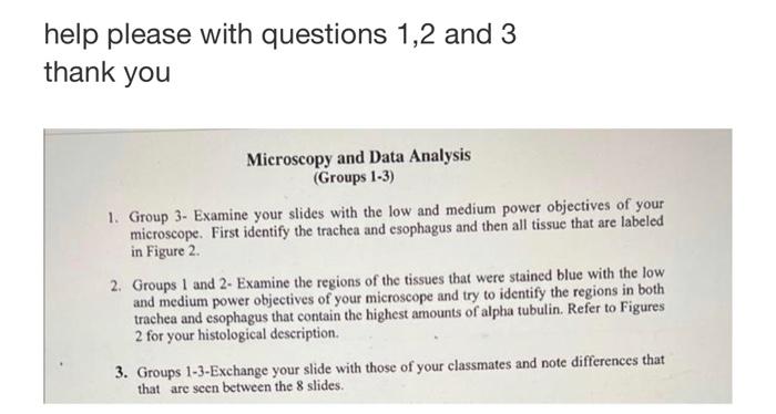 Help Please With Questions 1 2 And 3 Thank You Microscopy And Data Analysis Groups 1 3 1 Group 3 Examine Your Slides 1