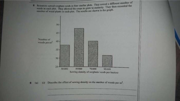 Scientists Sowed Sorghum Seeds In Four Similar Plots They Sowed A Different Number Of Seeds In Each Plot They Allowed 1