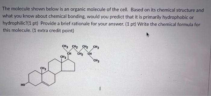 The Molecule Shown Below Is An Organic Molecule Of The Cell Based On Its Chemical Structure And What You Know About Che 1