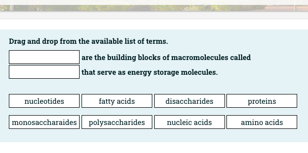 Drag And Drop From The Available List Of Terms Nucleotides Monosaccharaides Are The Building Blocks Of Macromolecules C 1