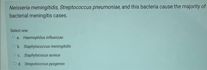 Neisseria Meningitidis Streptococcus Pneumoniae And This Bacteria Cause The Majority Of Bacterial Meningitis Cases Se 1