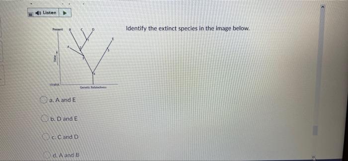 Listen Present Time 10 Mya A A And E B D And E C C And D D A And B Genetic Relatedness Identify The Extinct Species 1