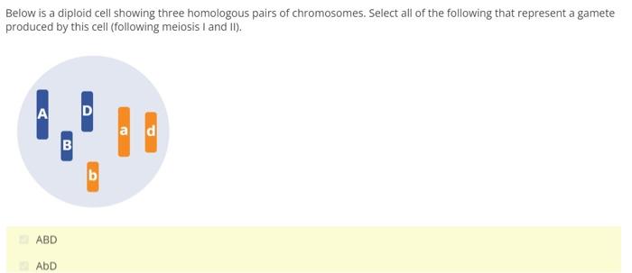 Below Is A Diploid Cell Showing Three Homologous Pairs Of Chromosomes Select All Of The Following That Represent A Game 1