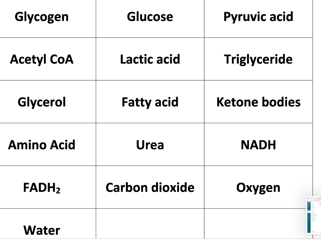 Arrange The Substrates And Pathways In The Correct Order Please Use All The Labels Given Including Triglyceride It Ke 1