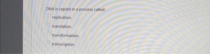 Dna Is Copied In A Process Called Replication Translation Transformation Transcription 0 0 0 O 1