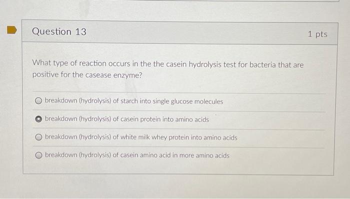 Question 13 What Type Of Reaction Occurs In The The Casein Hydrolysis Test For Bacteria That Are Positive For The Caseas 1