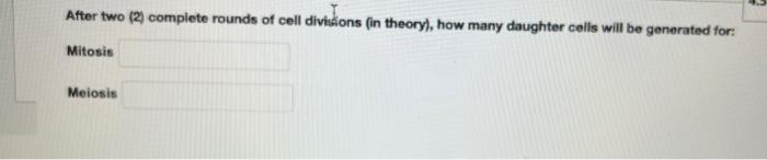 After Two 2 Complete Rounds Of Cell Divisions In Theory How Many Daughter Cells Will Be Generated For Mitosis Meio 1