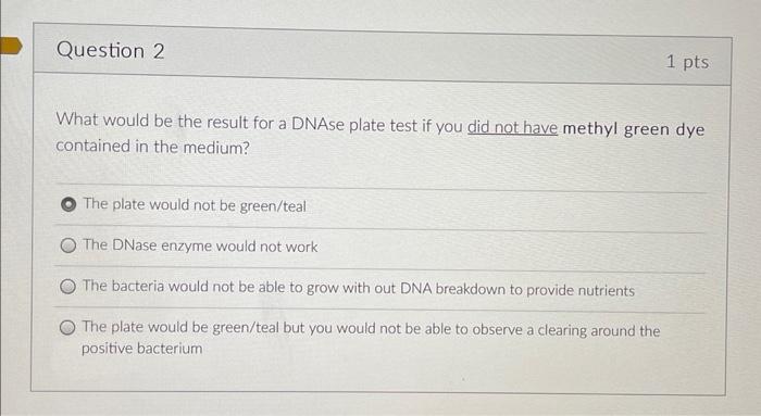 Question 2 1 Pts What Would Be The Result For A Dnase Plate Test If You Did Not Have Methyl Green Dye Contained In The M 1