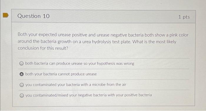 Question 10 1 Pts Both Your Expected Urease Positive And Urease Negative Bacteria Both Show A Pink Color Around The Bact 1