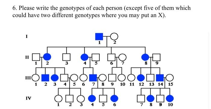 6 Please Write The Genotypes Of Each Person Except Five Of Them Which Could Have Two Different Genotypes Where You May 1