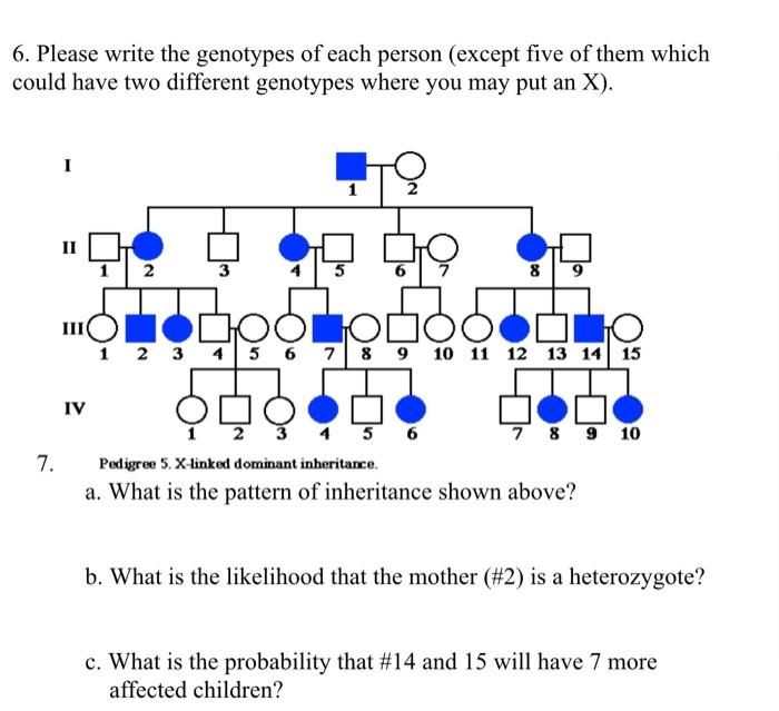 6 Please Write The Genotypes Of Each Person Except Five Of Them Which Could Have Two Different Genotypes Where You May 1