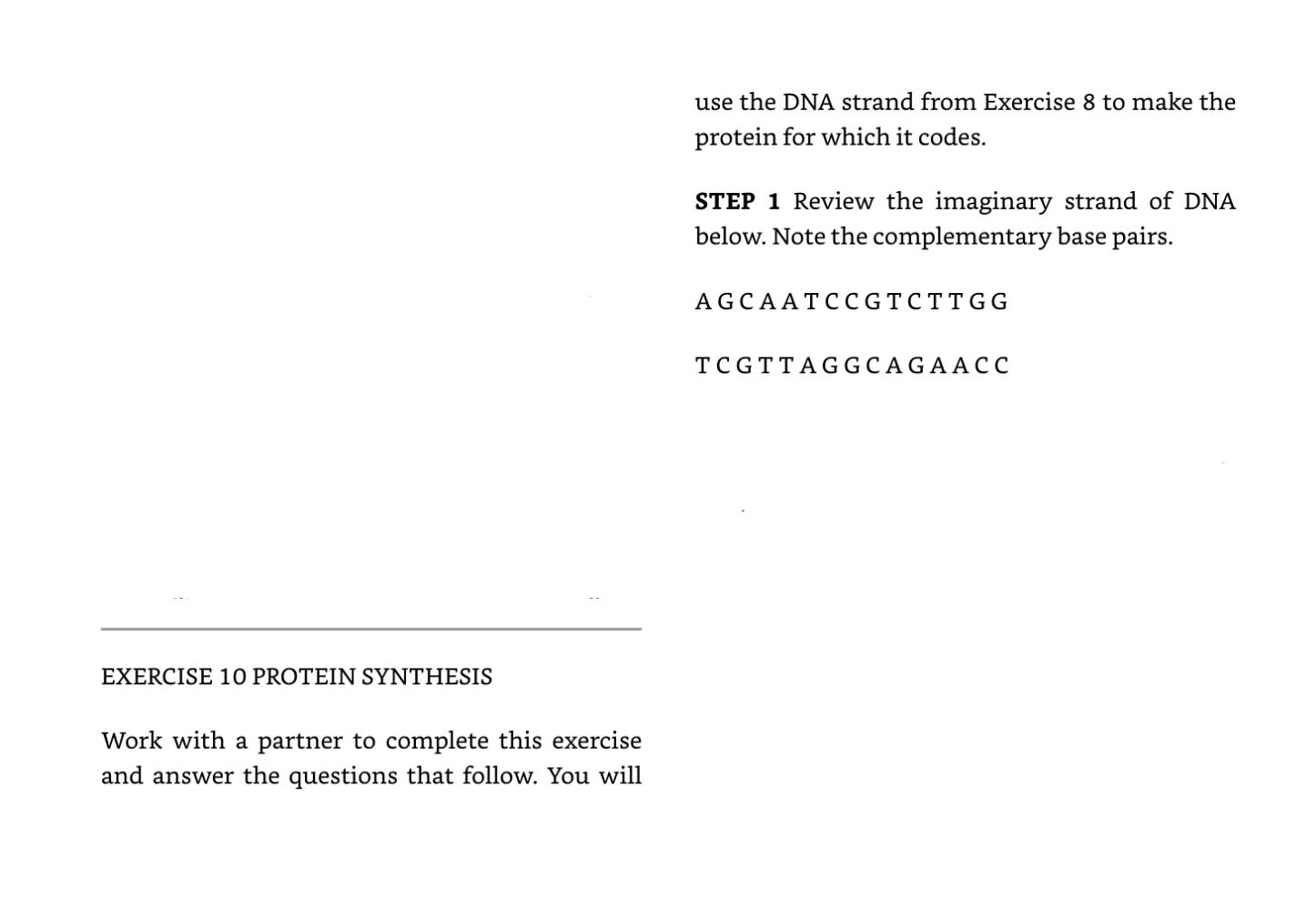 Exercise 1 Mutation In Lab 2 Exercise 8 You Determined The Amino Acid Sequence For The Following Strand Of Dna That S 1