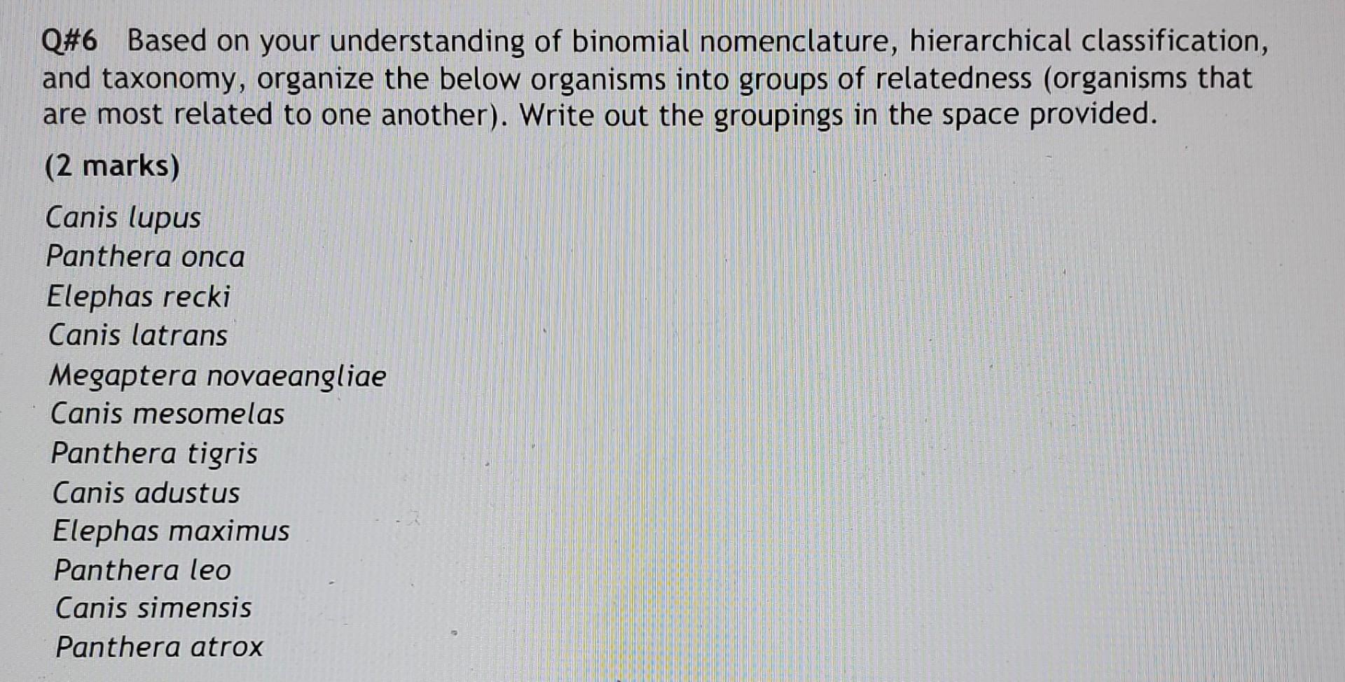 Q 6 Based On Your Understanding Of Binomial Nomenclature Hierarchical Classification And Taxonomy Organize The Below 1