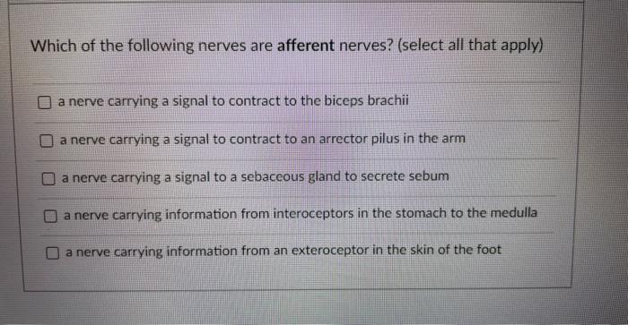 Which Of The Following Nerves Are Afferent Nerves Select All That Apply A Nerve Carrying A Signal To Contract To The 1