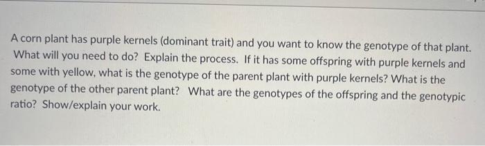 A Corn Plant Has Purple Kernels Dominant Trait And You Want To Know The Genotype Of That Plant What Will You Need To 1