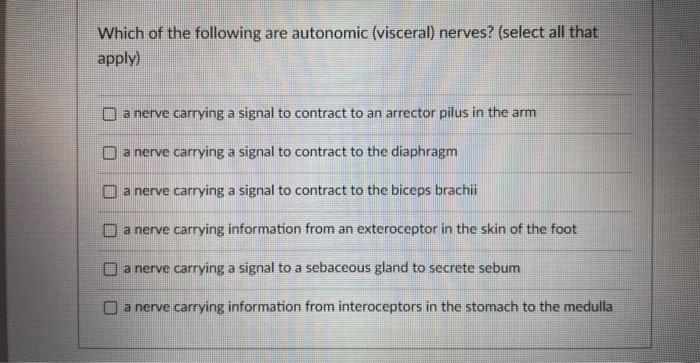 Which Of The Following Are Autonomic Visceral Nerves Select All That Apply A Nerve Carrying A Signal To Contract To 1