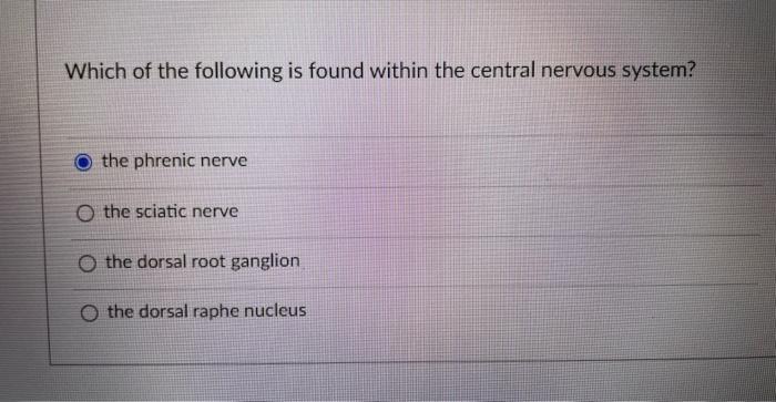 Which Of The Following Is Found Within The Central Nervous System The Phrenic Nerve O The Sciatic Nerve The Dorsal Root 1