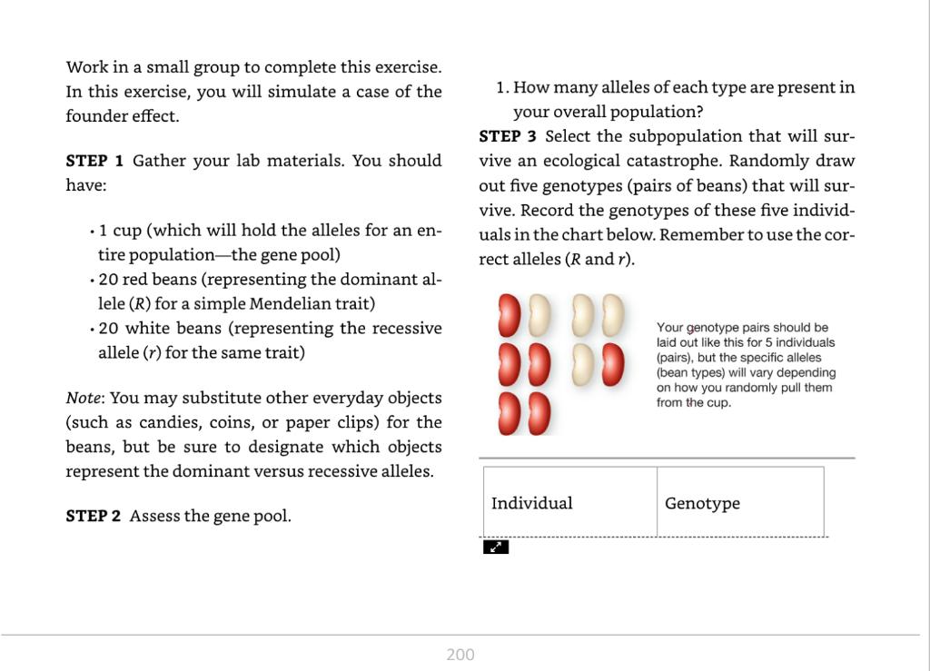 Exercise 3 The Founder Effect 1
