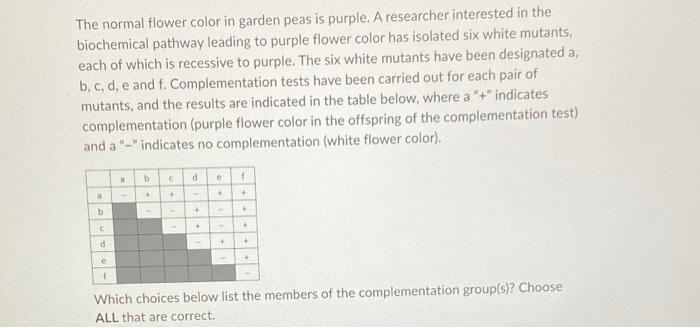 The Normal Flower Color In Garden Peas Is Purple A Researcher Interested In The Biochemical Pathway Leading To Purple F 1