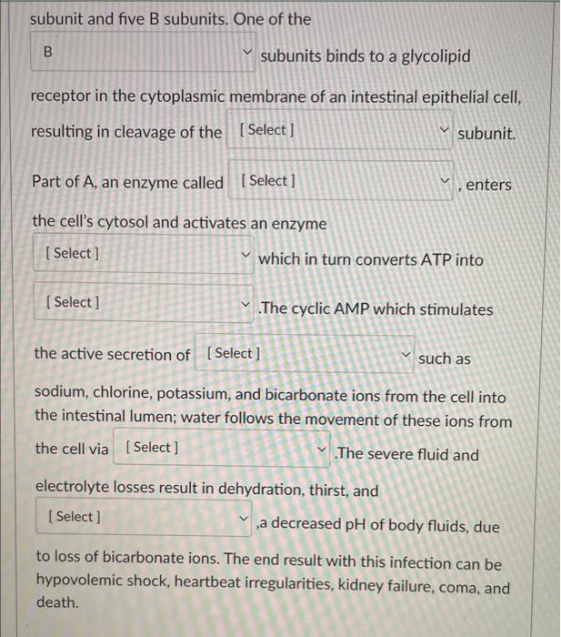 Subunit And Five B Subunits One Of The B Subunits Binds To A Glycolipid Receptor In The Cytoplasmic Membrane Of An Inte 1