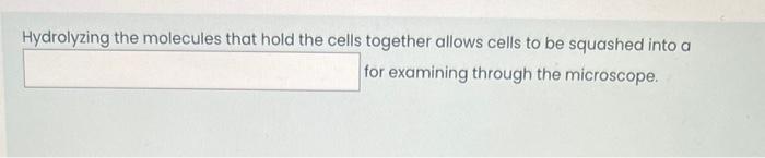 The Stain Used In This Lab Stains The Chromosomes Darkly And Other Cellular Components Lightly Select One True False 4