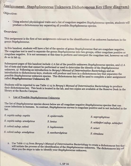Assignment Staphylococcus Unknown Dichotomous Key Flow Diagram Objective Using Selected Physiological Traits And A 1