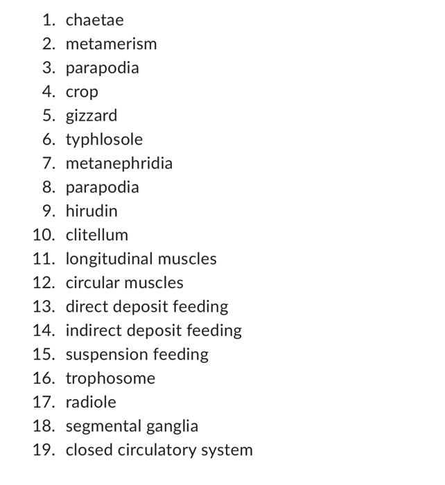 1 Chaetae 2 Metamerism 3 Parapodia 4 Crop 5 Gizzard 6 Typhlosole Metanephridia 7 8 Parapodia 9 Hirudin 10 Clit 1