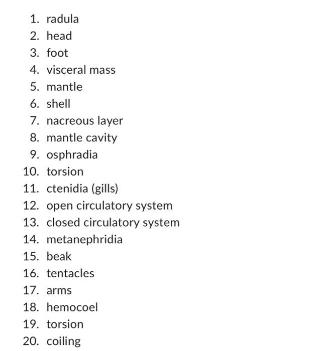 1 Radula 2 Head 3 Foot 4 Visceral Mass 5 Mantle 6 Shell 7 Nacreous Layer 8 Mantle Cavity 9 Osphradia 10 Torsio 1