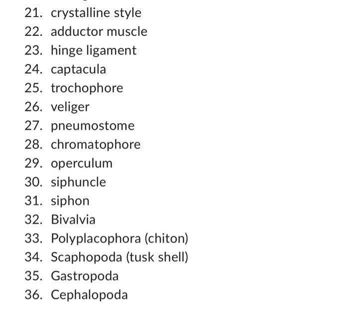 1 Radula 2 Head 3 Foot 4 Visceral Mass 5 Mantle 6 Shell 7 Nacreous Layer 8 Mantle Cavity 9 Osphradia 10 Torsio 2