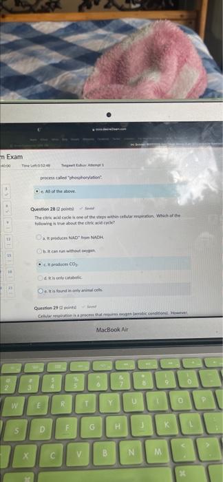 M Exam 40 00 Timela 0 53 52 2 W S Tega Edy Aung 1 Oe Is The Final Electron Acceptor In The Electron Transport Chain Ques 2
