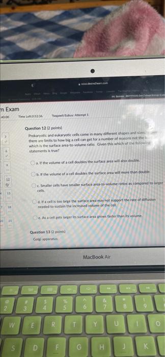M Exam 40 00 Timela 0 53 52 2 W S Tega Edy Aung 1 Oe Is The Final Electron Acceptor In The Electron Transport Chain Ques 3