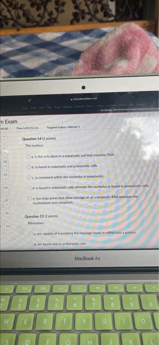 M Exam 40 00 Timela 0 53 52 2 W S Tega Edy Aung 1 Oe Is The Final Electron Acceptor In The Electron Transport Chain Ques 5