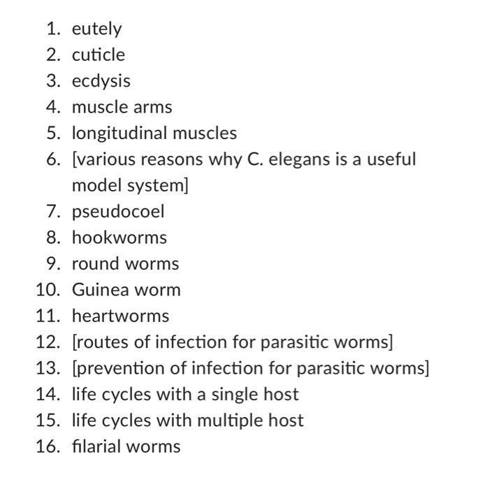 1 Eutely 2 Cuticle 3 Ecdysis 4 Muscle Arms 5 Longitudinal Muscles 6 Various Reasons Why C Elegans Is A Useful Mo 1