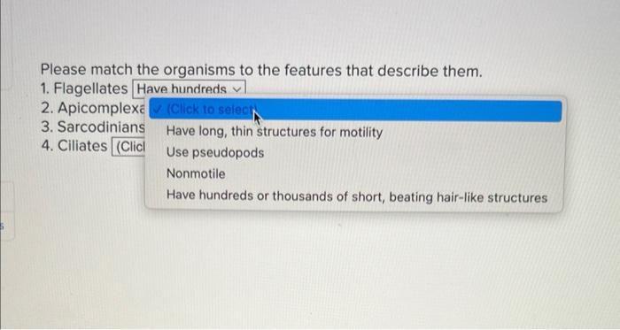 Please Match The Organisms To The Features That Describe Them 1 Flagellates Have Hundreds 2 Apicomplexa 3 Sarcodinia 1