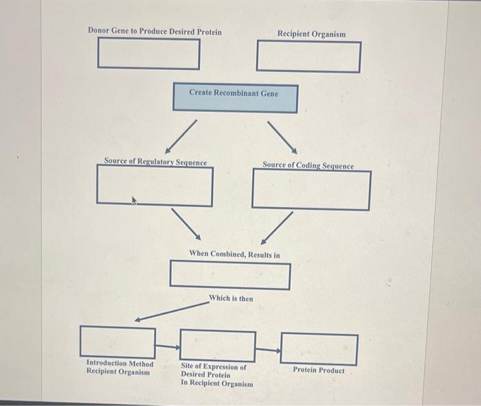 Donor Gene To Produce Desired Protein Source Of Regulatory Sequence Introduction Method Recipient Organism Create Recomb 1