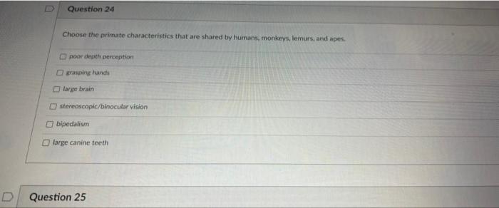 D Question 24 Choose The Primate Characteristics That Are Shared By Humans Monkeys Lemurs And Apes Poor Depth Percep 1
