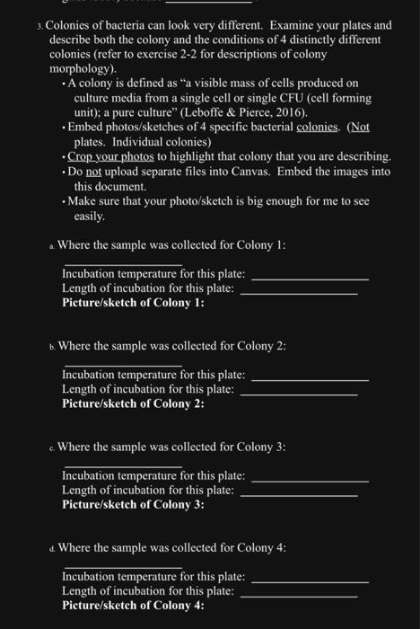 3 Colonies Of Bacteria Can Look Very Different Examine Your Plates And Describe Both The Colony And The Conditions Of 1