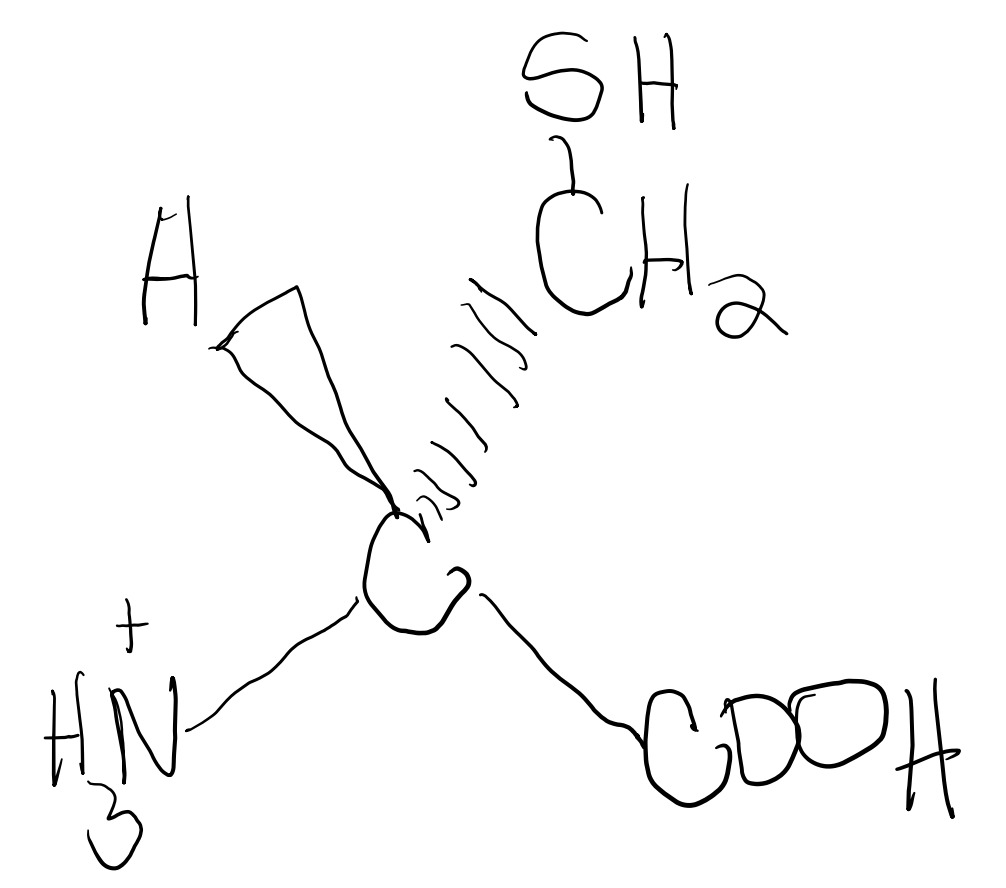 Below Is The Structure Of D Cysteine Indicate The Absolute Configuration S Or R For D Cysteine Aw H 1 00 U S 3 1