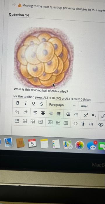 Moving To The Next Question Prevents Changes To This Answ Question 14 What Is This Dividing Bail Of Cells Called For Th 1