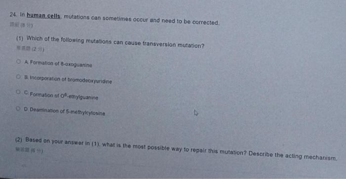 24 In Human Cells Mutations Can Sometimes Occur And Need To Be Corrected 1 Which Of The Following Mutations Can Cau 1