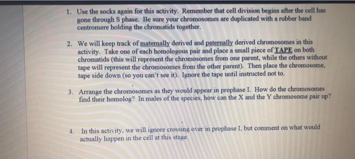 1 Use The Socks Again For This Activity Remember That Cell Division Begins After The Cell Has Gone Through S Phase Be 1