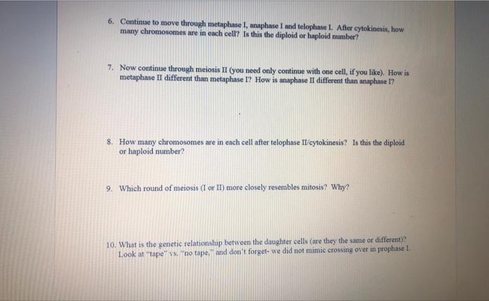 1 Use The Socks Again For This Activity Remember That Cell Division Begins After The Cell Has Gone Through S Phase Be 3