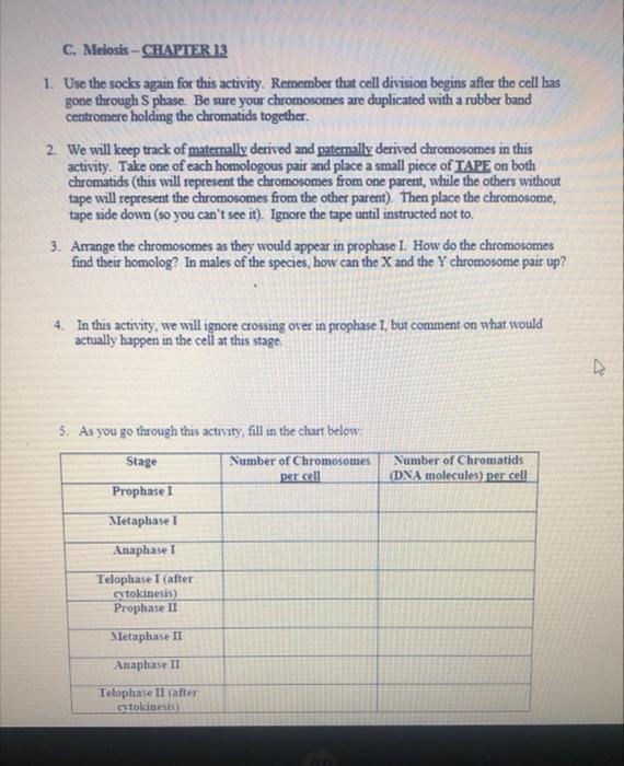 C Meiosis Chapter 13 1 Use The Socks Again For This Activity Remember That Cell Division Begins After The Cell Has Go 1